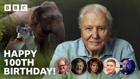 "Famous" animals celebrate Sir David Attenborough's 100th birthday - BBC