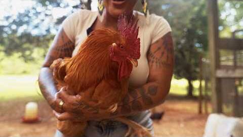 Removing My Rooster's Spurs & a Hard Goodbye | Farm Chores Ep. 4