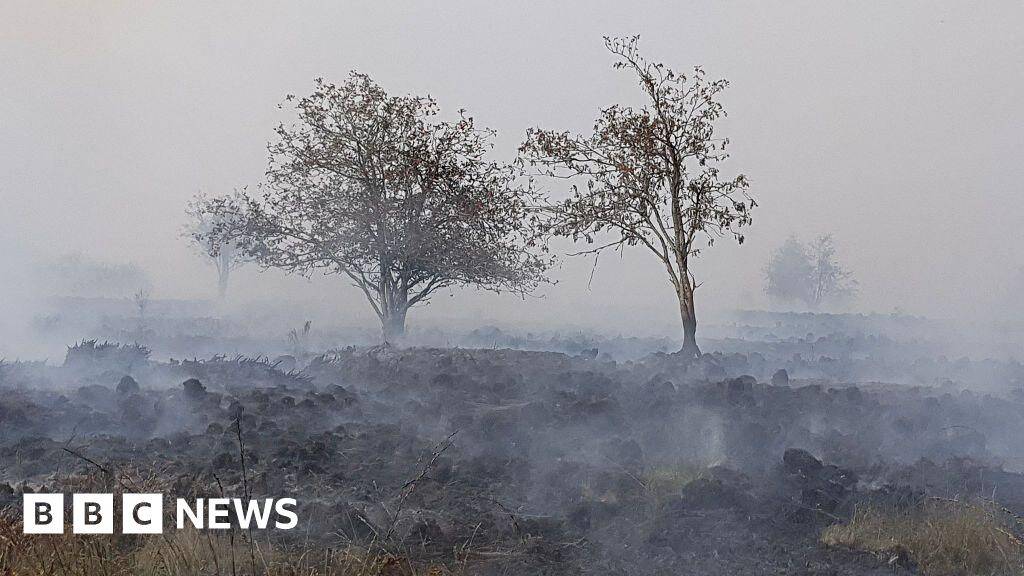 Firefighters battle wildfire tearing through Belgian nature reserve