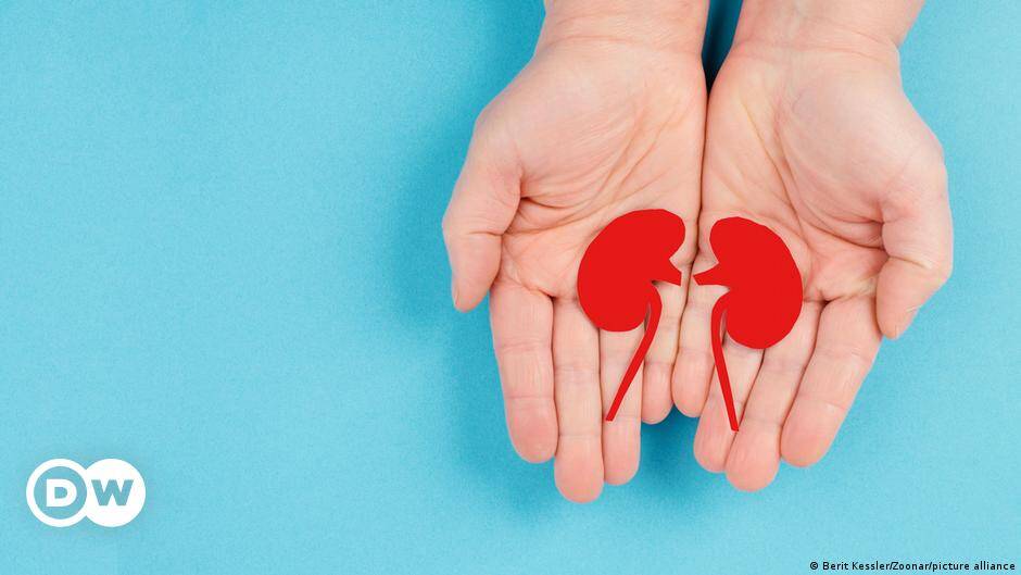 Germany news: Bundestag to discuss opt-out organ donation