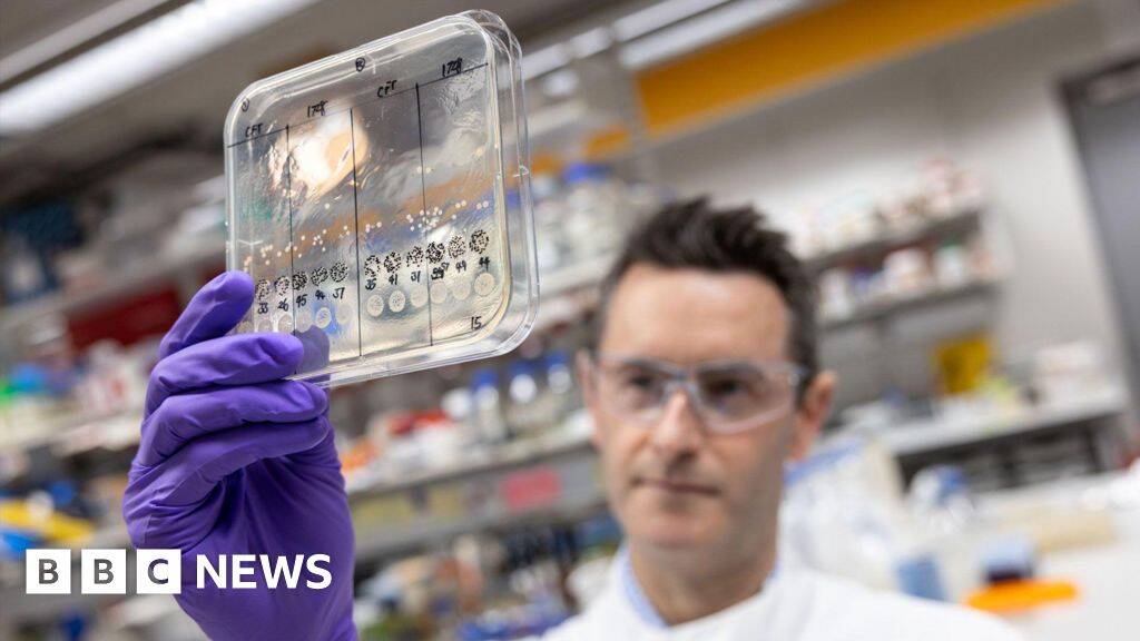 Major UK project launched to tackle drug-resistant superbugs with AI