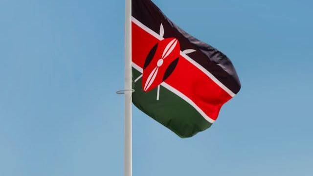 Africa faces 86 mn tonne fuel shortfall by 2040: AFC