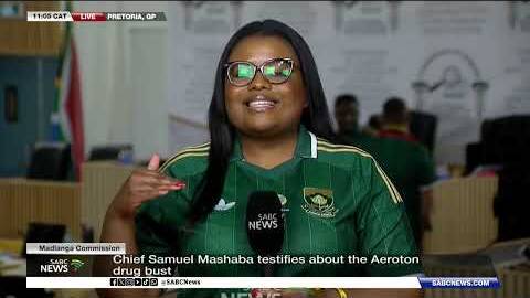 Madlanga Commission | Chief Samuel Mashaba testifies about the Aeroton drug bust