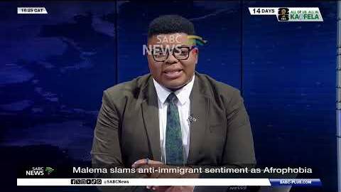 EFF leader labels anti-immigrant protests as Afrophobia