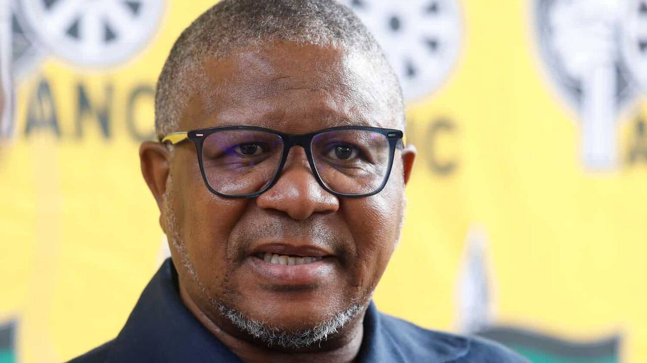 Mbalula responds to Chris Hani family walkout