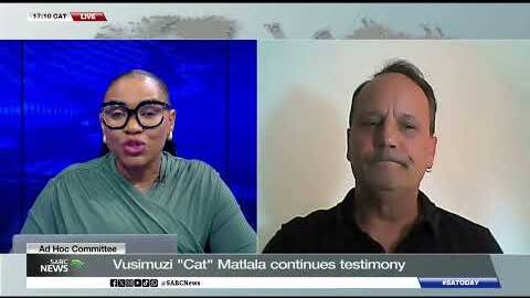 Vusimuzi "Cat" Matlala continues with testimony: Dr Dale McKinley weighs in