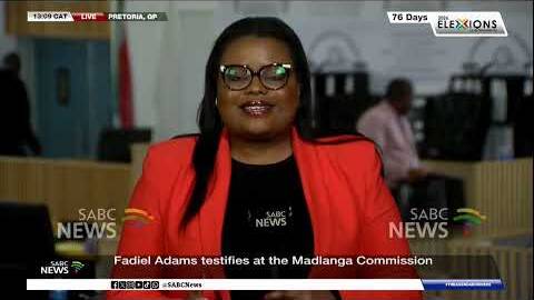 Madlanga Commission | Journalist lays charges of intimidation against Stuart Scharnick