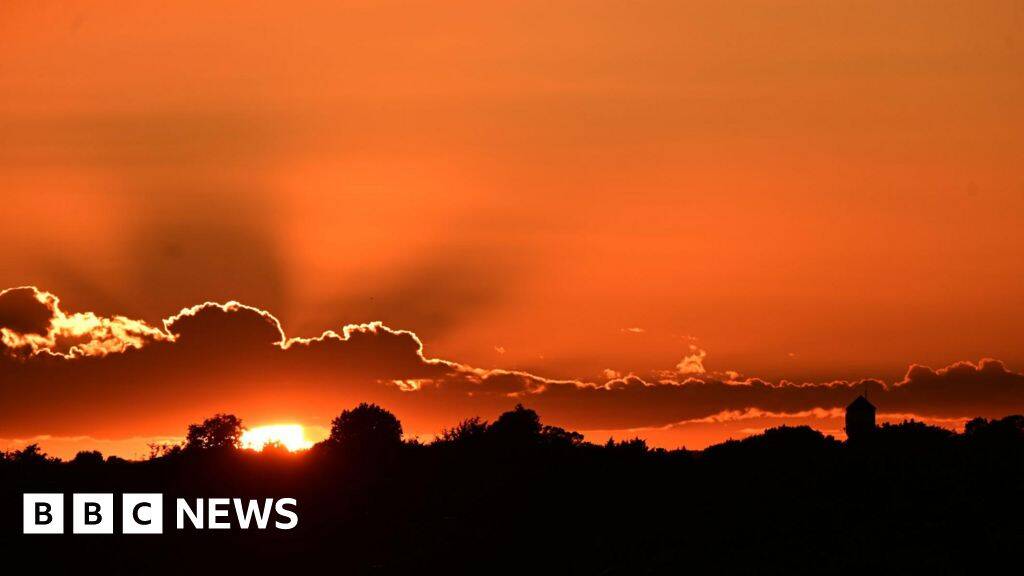 Thousands may have died in UK's exceptional May and June heatwaves