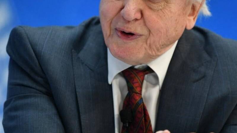 A fitting tribute: New wasp species named after Sir David Attenborough on his 100th birthday